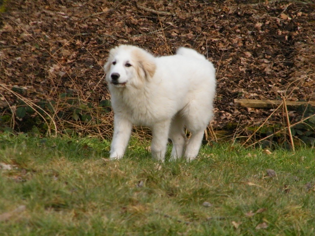 Sandy De la cascade de couplan