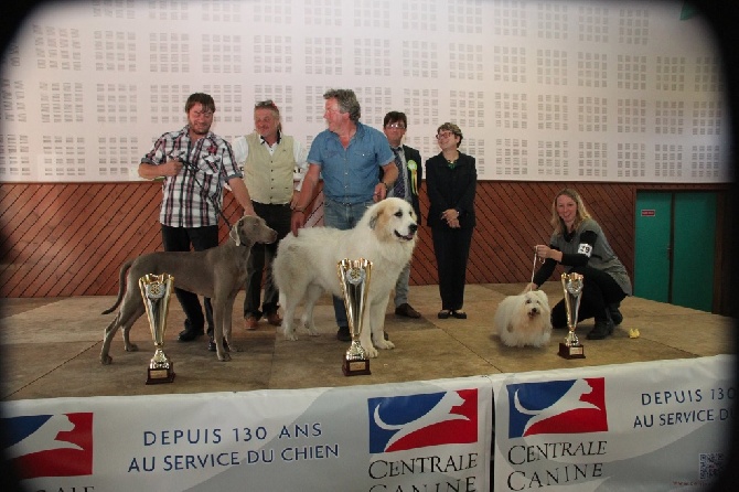 De la cascade de couplan - Trophée Auvergne-Bourbonnais-Velay, Paulhac (43100)