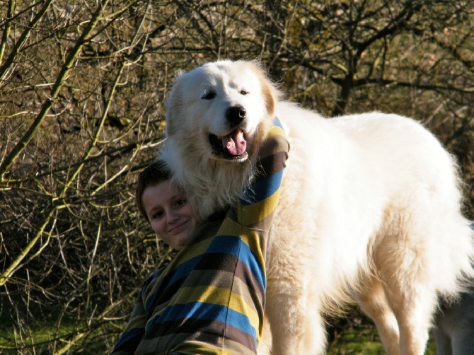 De la cascade de couplan - Exposition Canine Internationale, Périgueux 8 Mars 2014