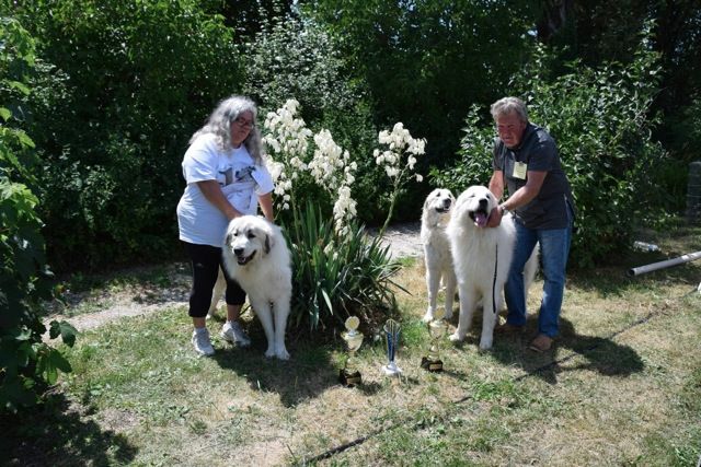 De la cascade de couplan - Exposition Canine Nationale, Aurillac 15 Juillet 2018