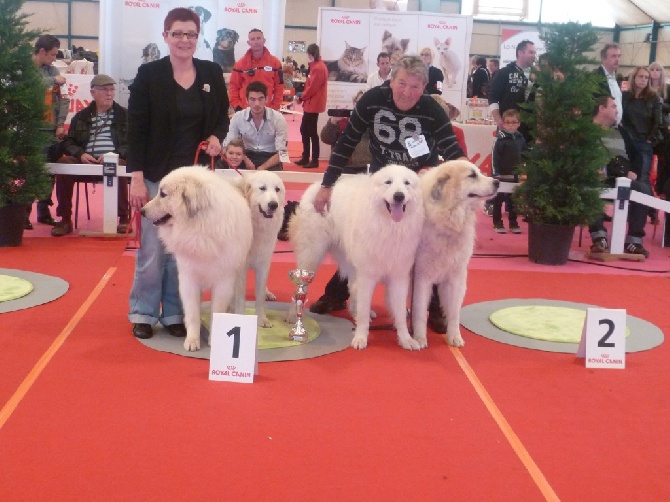 De la cascade de couplan - Exposition Canine Internationale, Chateauroux 20 Avril 2014