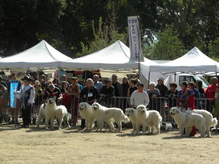 De la cascade de couplan - Exposition Canine Nationale, Dompierre-sur-Besbre 8 Septembre 2019