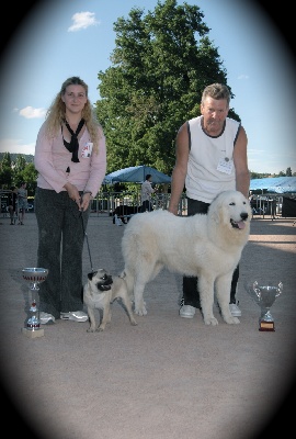 De la cascade de couplan - Exposition Canine Nationale, Chatel Guyon 10 Août 2008