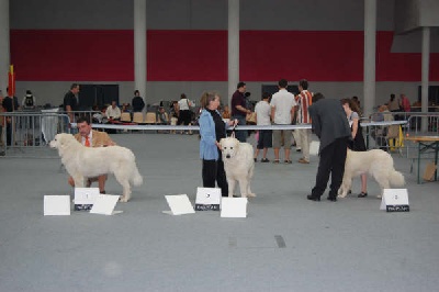 De la cascade de couplan - Exposition Canine Internationale, Besançon 21 Juin 2009