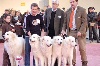  - Exposition Canine Internationale, Chalons-en-Champagne 31 Janvier 2009