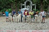  - Exposition Canine Nationale, Le Puy-en-Velay 31 Juillet 2016