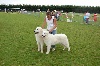  - Exposition Canine Nationale, Semur en Auxois, 22 Juin 2008