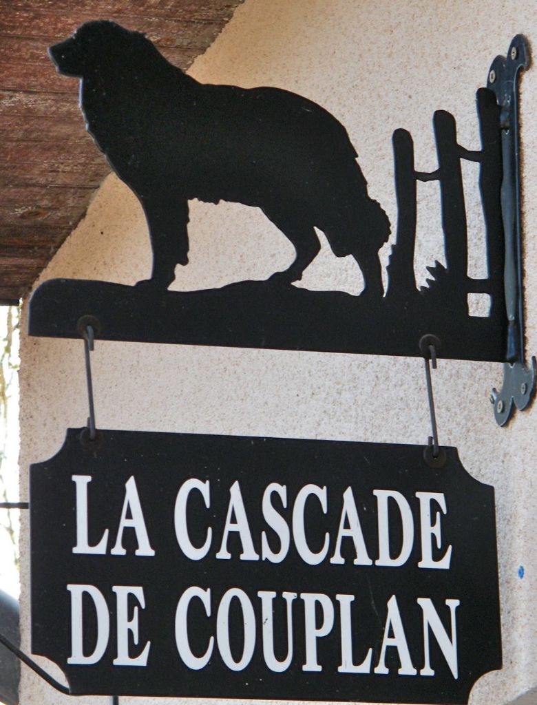 De la cascade de couplan - Exposition Canine Internationale, Montluçon 19 Mars 2017