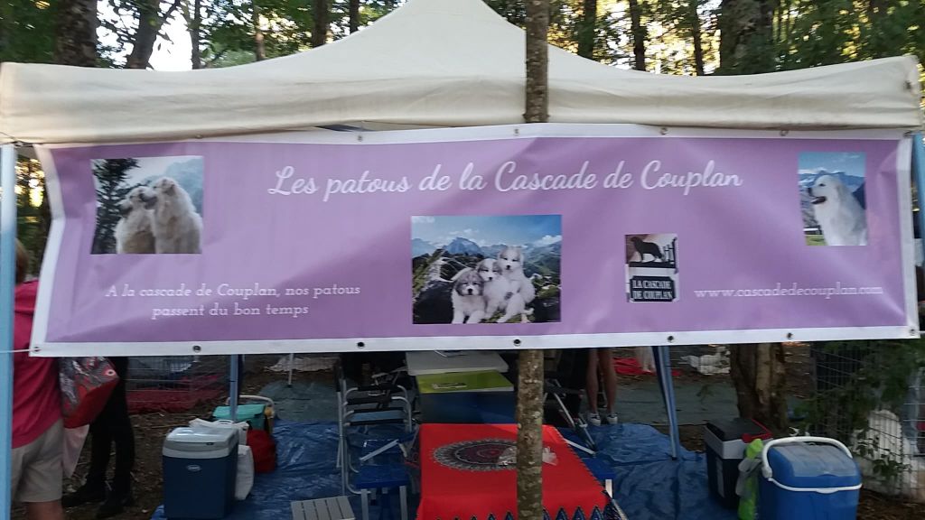 De la cascade de couplan - Exposition Canine Nationale, Dompierre-sur-Besbre 9 septembre 2018