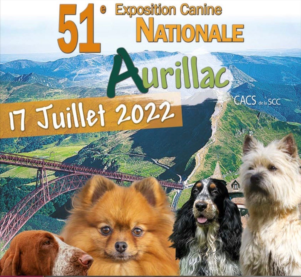 De la cascade de couplan - Exposition Canine Nationale, Aurillac 17 Juillet 2022