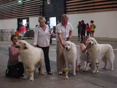 De la cascade de couplan - 86ème Exposition Canine Internationale, Lyon 6 Juin 2010