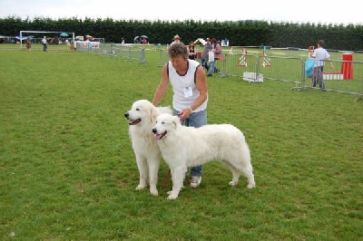 De la cascade de couplan - Exposition Canine Nationale, Semur en Auxois, 22 Juin 2008