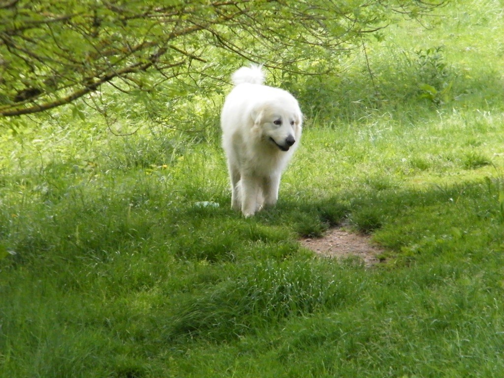 Hourson De la cascade de couplan