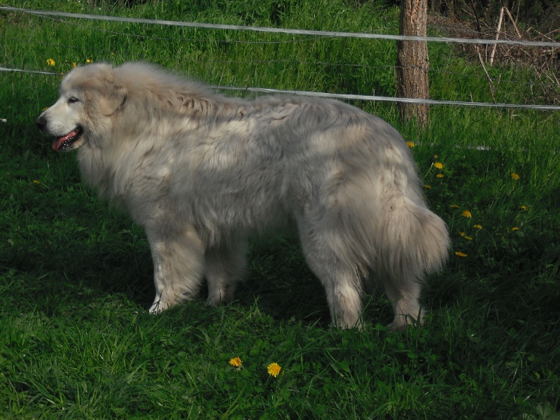 élona De la cascade de couplan