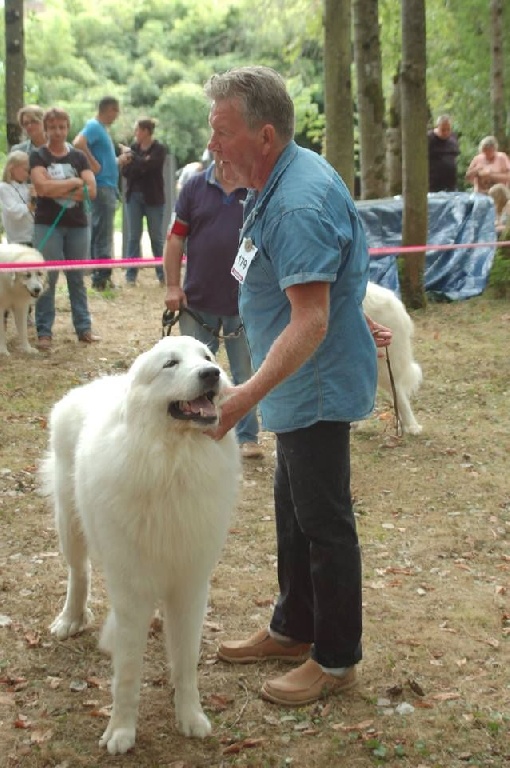 De la cascade de couplan - Exposition Canine Nationale, Dompierre-sur-Besbre 11 Septembre 2016